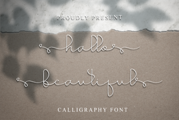 Beautiful Fonts for Business