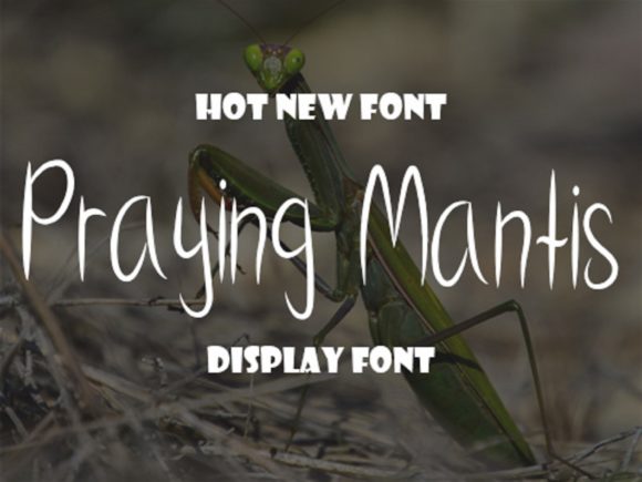 Praying Mantis Font for Web Design